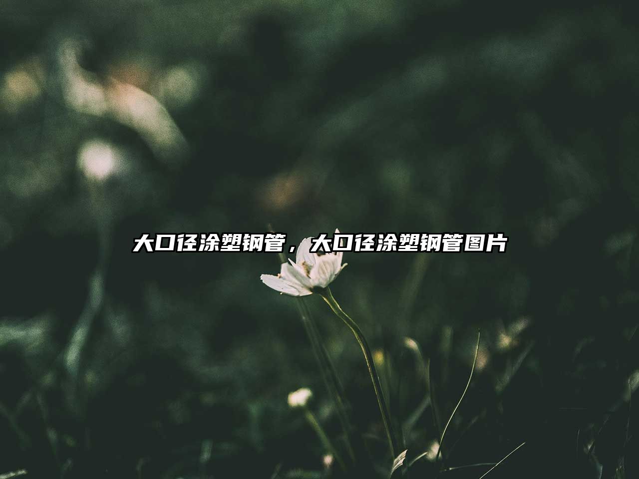 大口徑涂塑鋼管，大口徑涂塑鋼管圖片