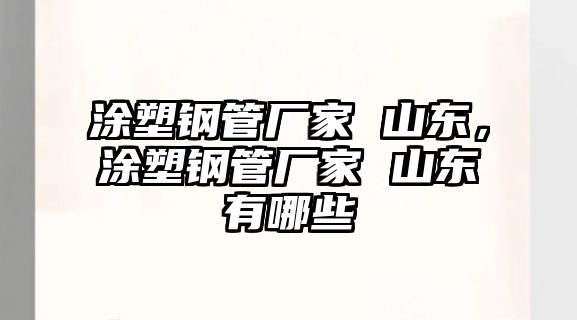 涂塑鋼管廠家 山東，涂塑鋼管廠家 山東有哪些