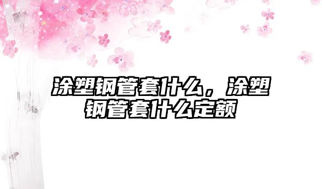 涂塑鋼管套什么，涂塑鋼管套什么定額
