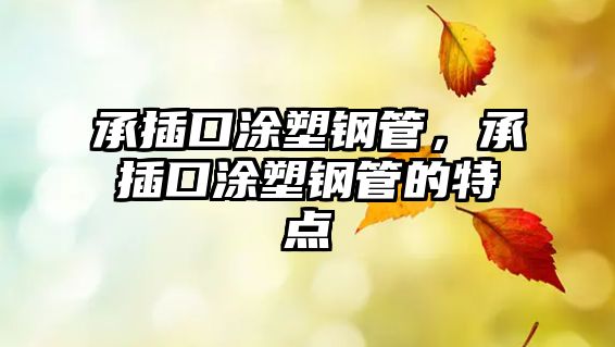 承插口涂塑鋼管，承插口涂塑鋼管的特點(diǎn)