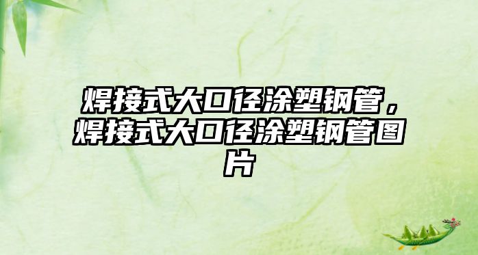 焊接式大口徑涂塑鋼管，焊接式大口徑涂塑鋼管圖片
