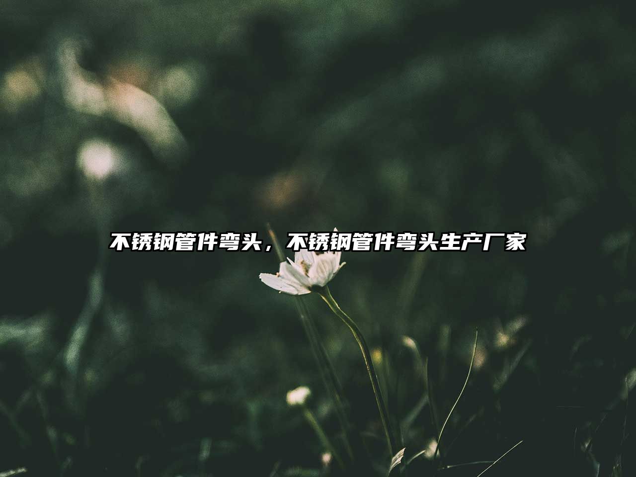 不銹鋼管件彎頭，不銹鋼管件彎頭生產(chǎn)廠家
