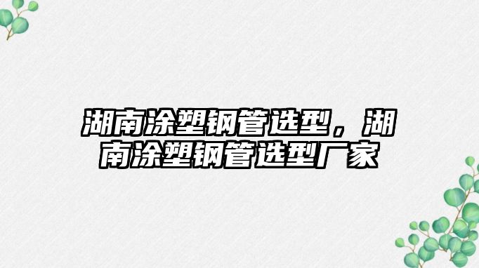 湖南涂塑鋼管選型，湖南涂塑鋼管選型廠家