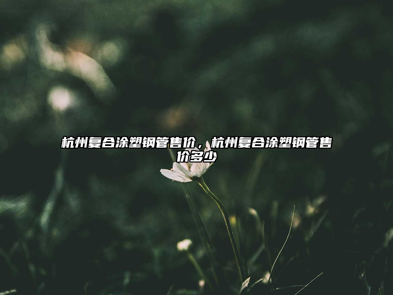杭州復合涂塑鋼管售價，杭州復合涂塑鋼管售價多少