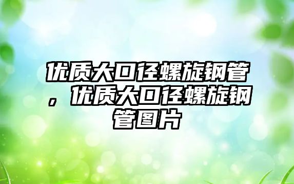 優(yōu)質(zhì)大口徑螺旋鋼管，優(yōu)質(zhì)大口徑螺旋鋼管圖片